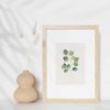 Affiche Eucalyptus doré