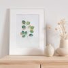 Affiche Eucalyptus doré