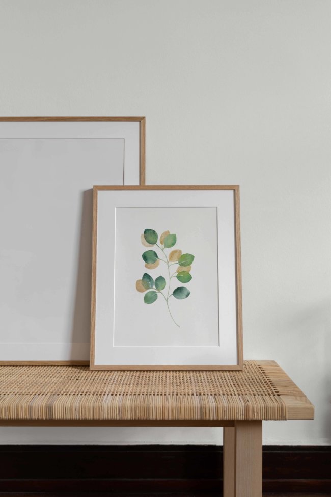 Affiche Eucalyptus doré