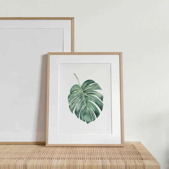 Affiche Monstera, N°1