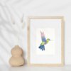 Affiche Oiseau Colibri