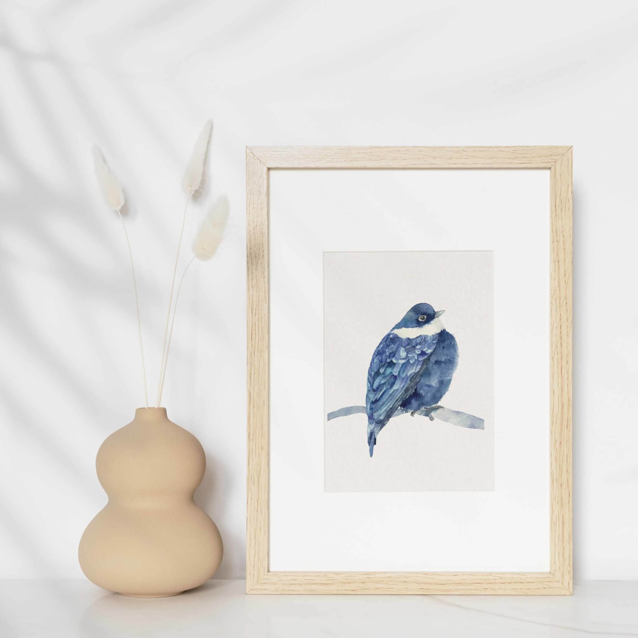 Affiche Oiseau Manakin à tête bleue
