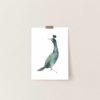 Affiche Oiseau Cormoran Huppé