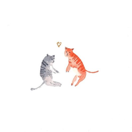 bonjour couleurs petits chats a l'aquarelle