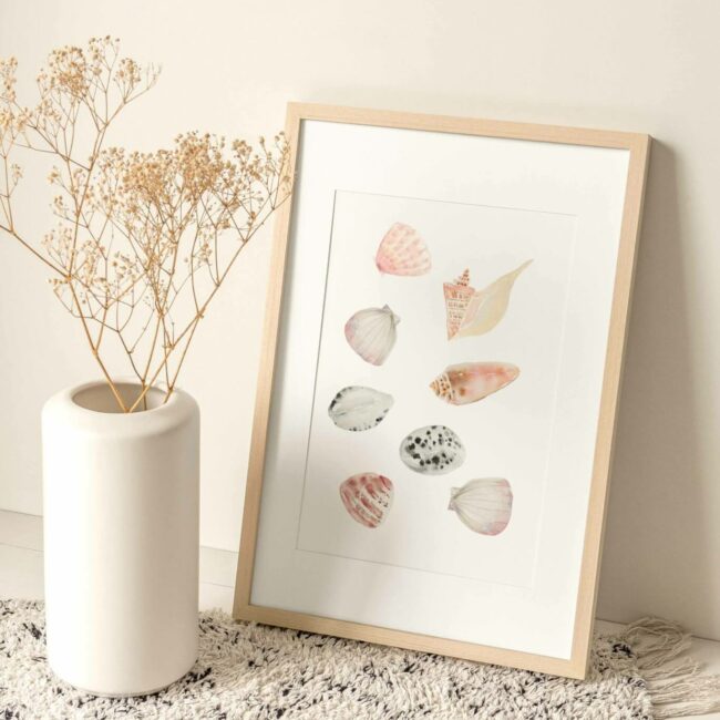 Cadre décoratif maritime contenant une collection de coquillages.