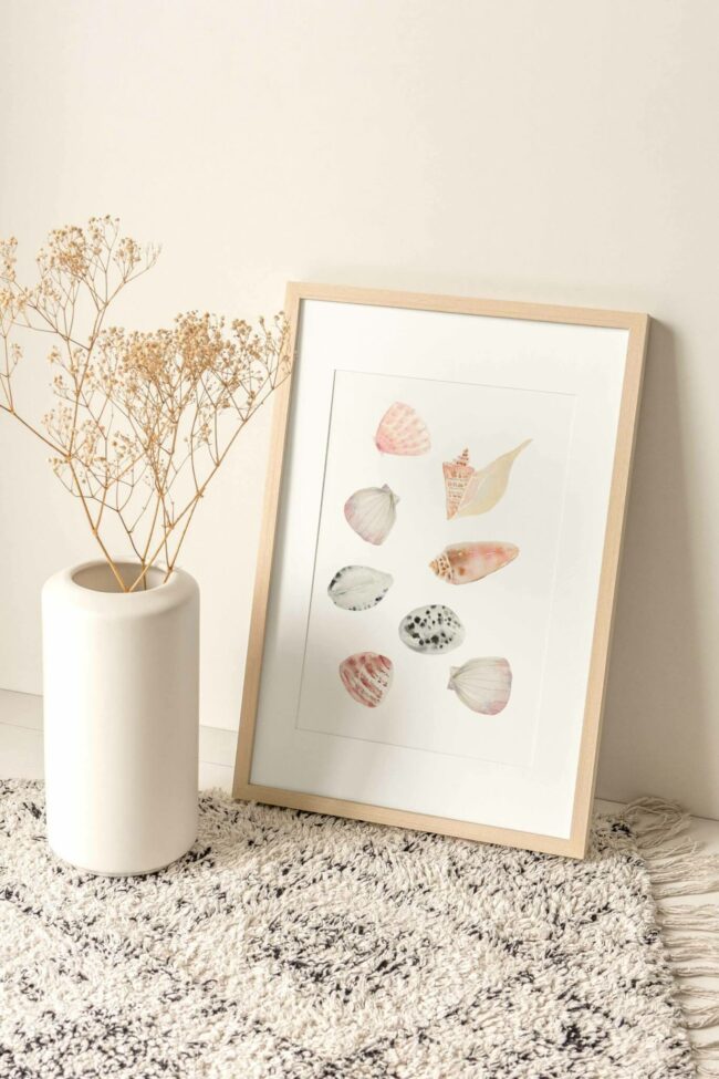 Cadre décoratif maritime contenant une collection de coquillages.