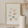 coquillages aquarelle affiche