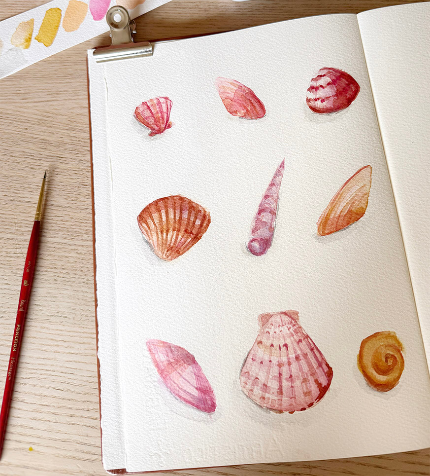 Carnet Perfect Sketchbook Signature Coquillage