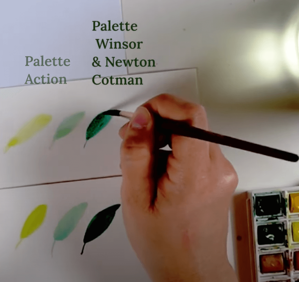 palette aquarelle débutant comparaison action versus winsor et newton cotman