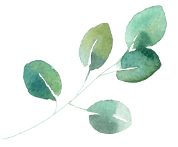 Aquarelle avec une branche à 5 feuilles vertes