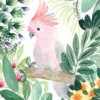 affiche perroquet jungle deco tropicale