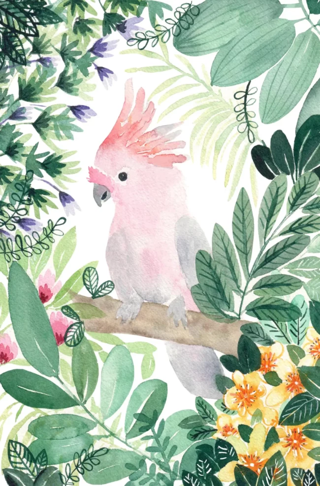 affiche perroquet jungle deco tropicale