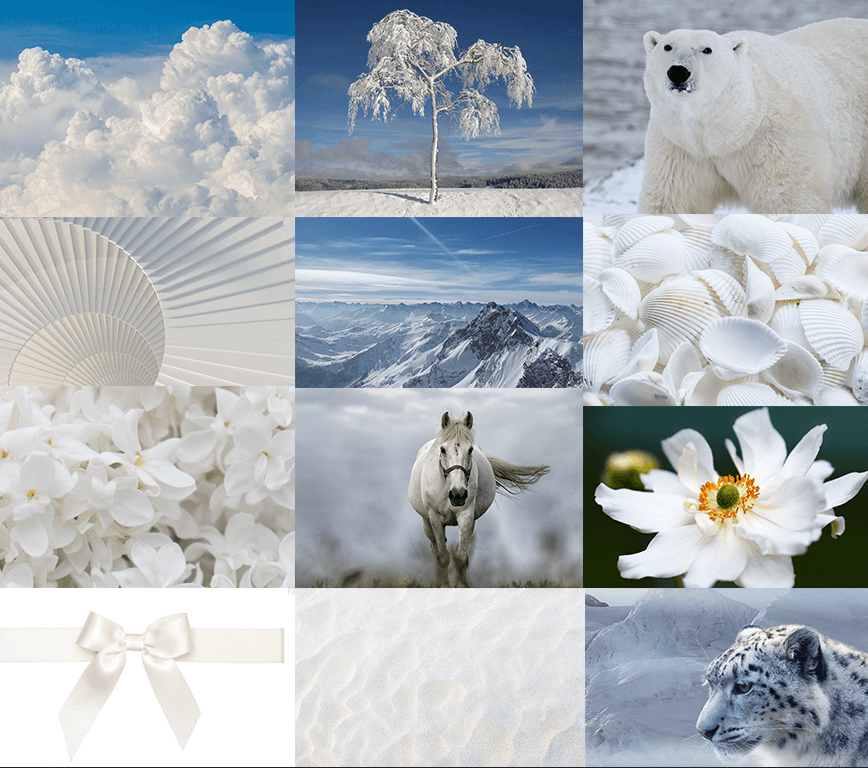 White aesthetic wallpaper bonjour couleurs