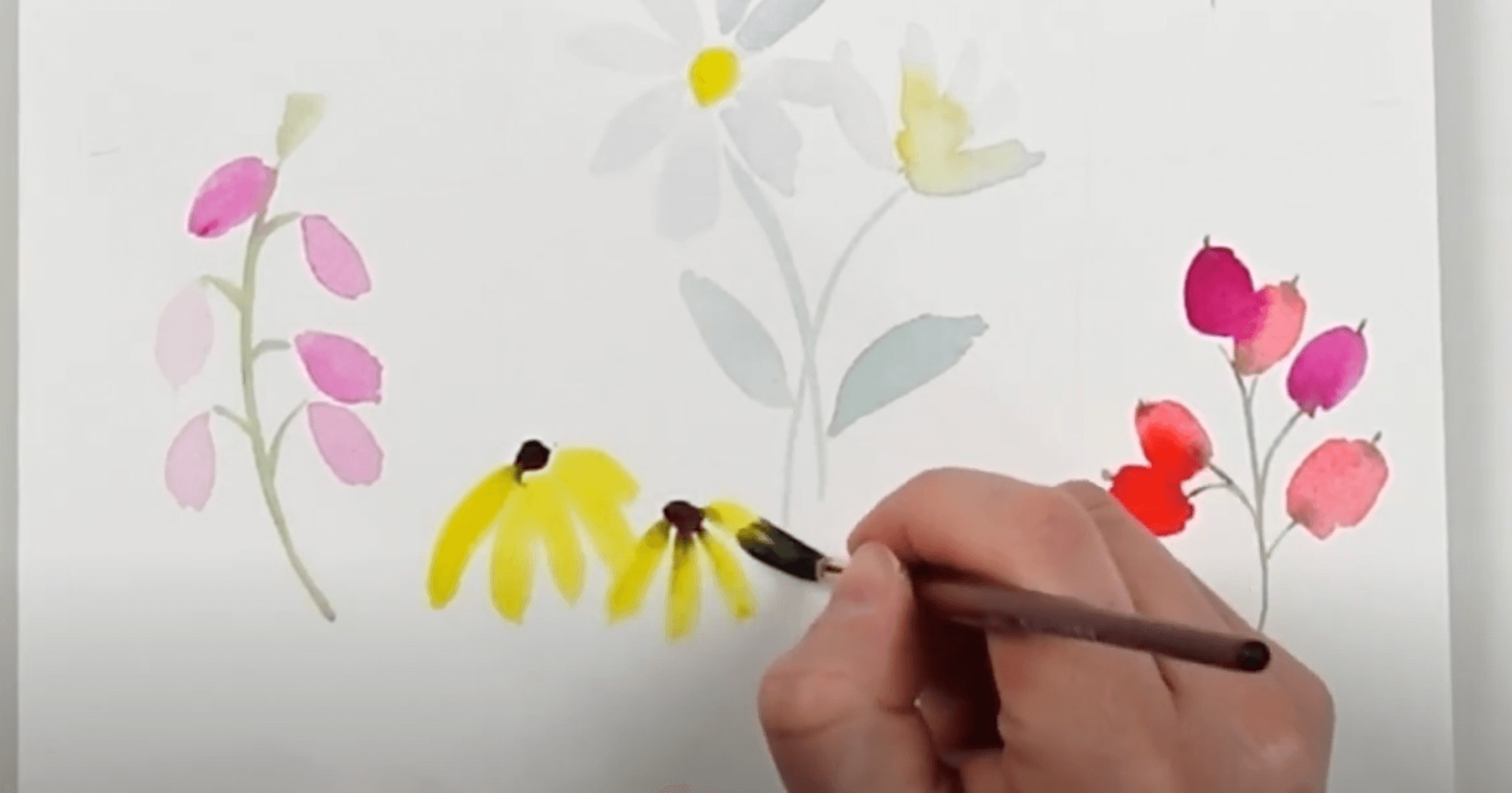 Marguerites jaunes pétales à l'aquarelle