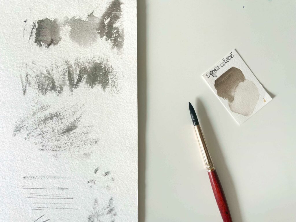 Technique seche conseil aquarelle pour debutant bonjour couleurs