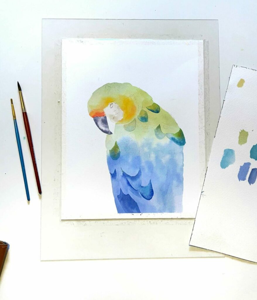 perroquet-tendu-papier-aquarelle-bonjour couleurs