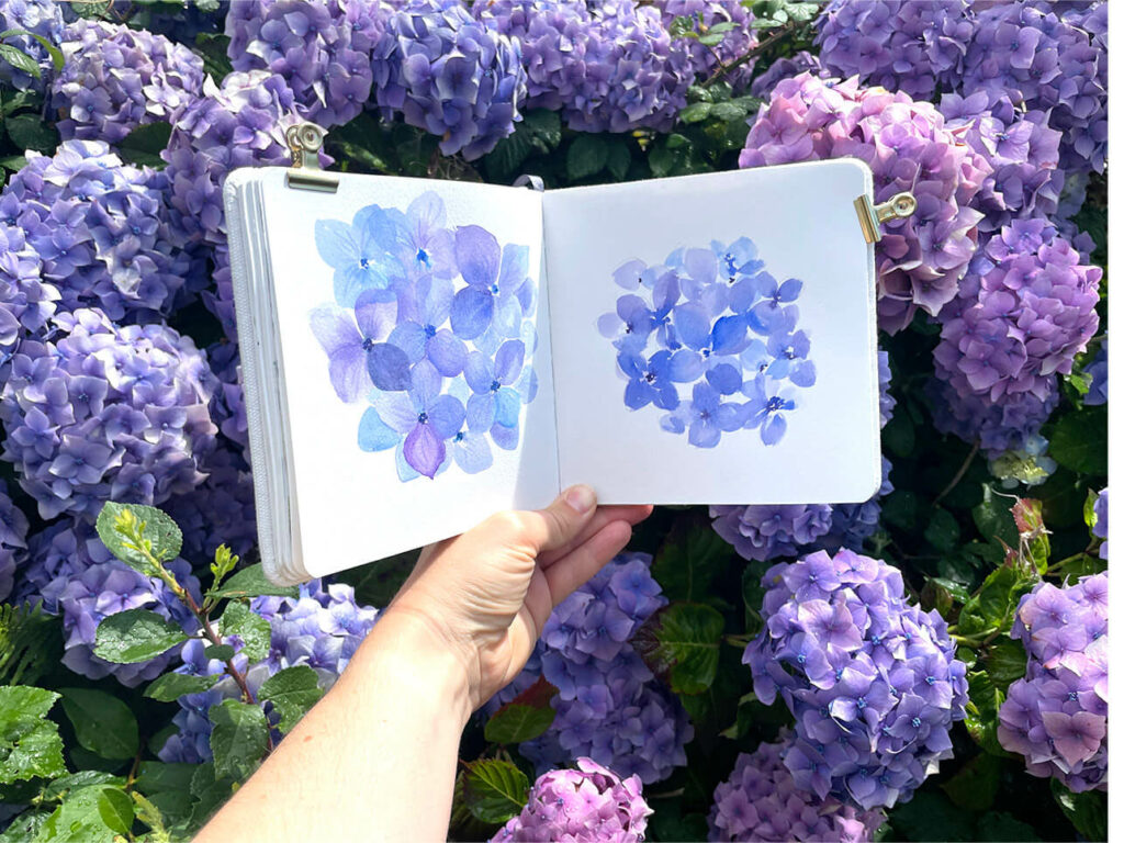 hortensia carnet everyday sketchbook carré Etchr