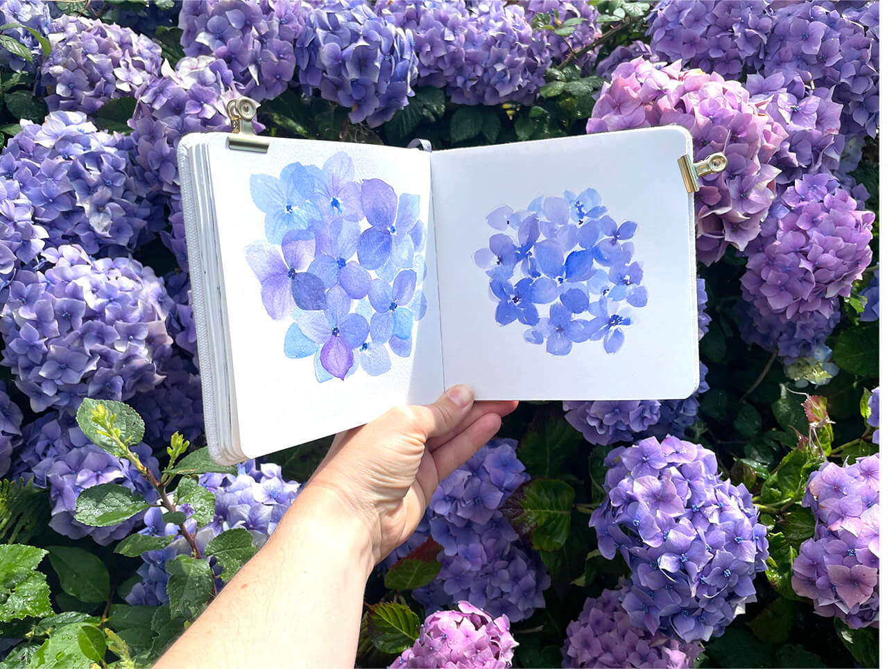 hortensia carnet everyday sketchbook carré Etchr
