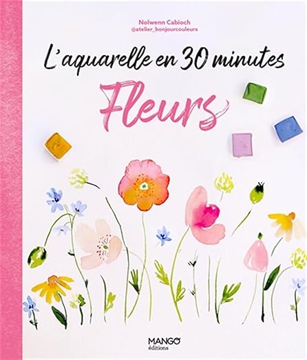 livre fleurs 30 mn bonjour couleurs nolwenn cabioch